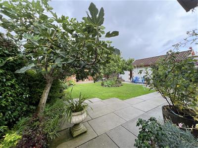 Picture 21